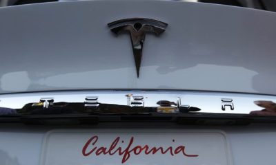 White Tesla Model X rear bumper showing California license plate