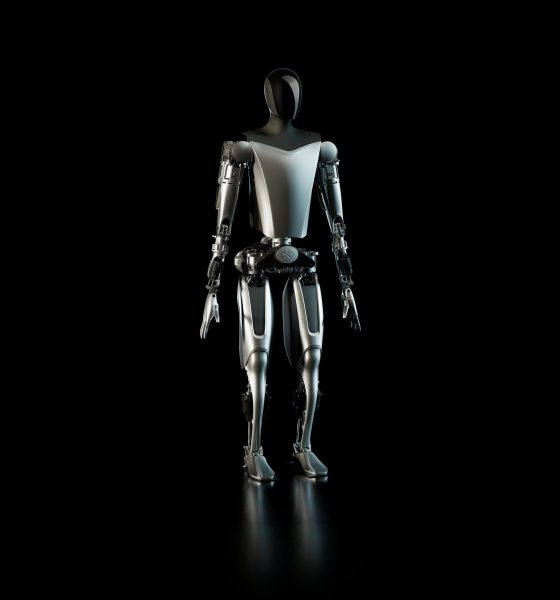 tesla optimus bot