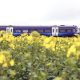 starlink-trains-scotrail-debut