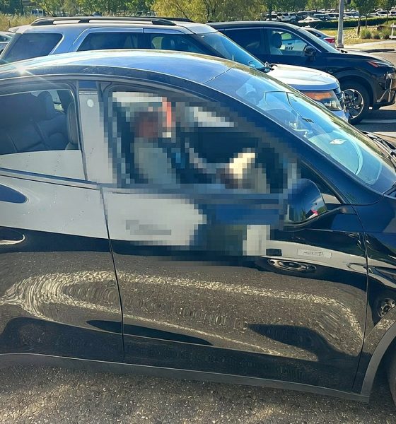 Tesla drives drunk owner, Police arrest on DUI [Credit: Vacaville Police via Facebook]